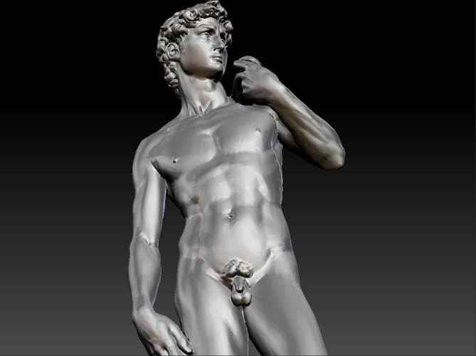 David by Michelangelo statue 3D Print 181648