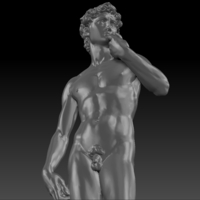 David by Michelangelo statue - Thumbnail 7