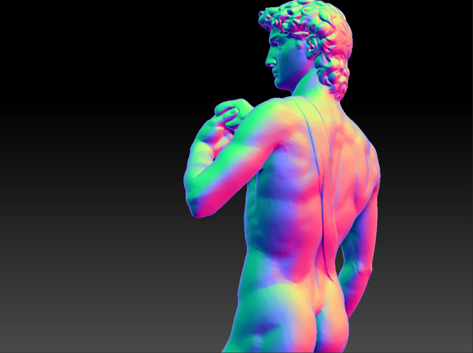 David by Michelangelo statue 3D Print 181652
