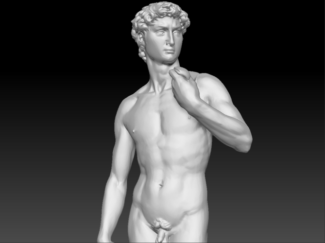 David by Michelangelo statue 3D Print 181654