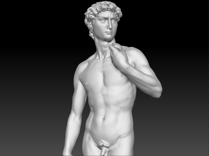 Premium Photo  Mikelangelo's david bust 3d illustration modern