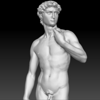 David by Michelangelo statue - Thumbnail 12
