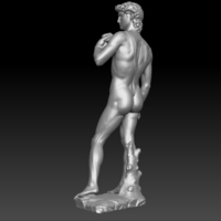 David by Michelangelo statue - Thumbnail 13
