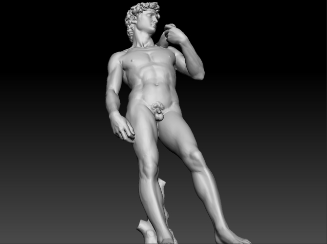 David by Michelangelo statue 3D Print 181657