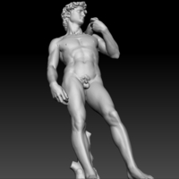 David by Michelangelo statue - Thumbnail 15