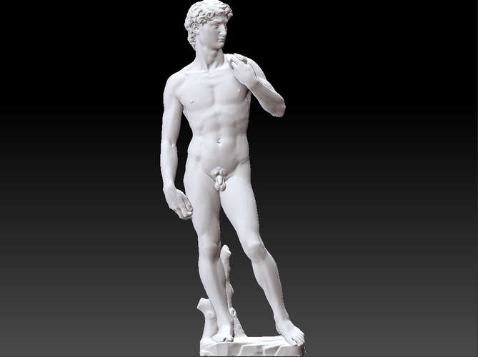 David by Michelangelo statue 3D Print 181661
