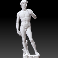 David by Michelangelo statue - Thumbnail 19