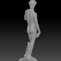 David by Michelangelo statue - Thumbnail 23