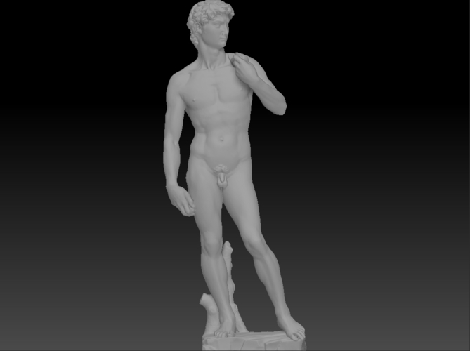 David by Michelangelo statue 3D Print 181666