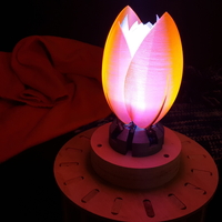 Servo Flower - Thumbnail 6