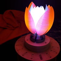 Servo Flower - Thumbnail 7