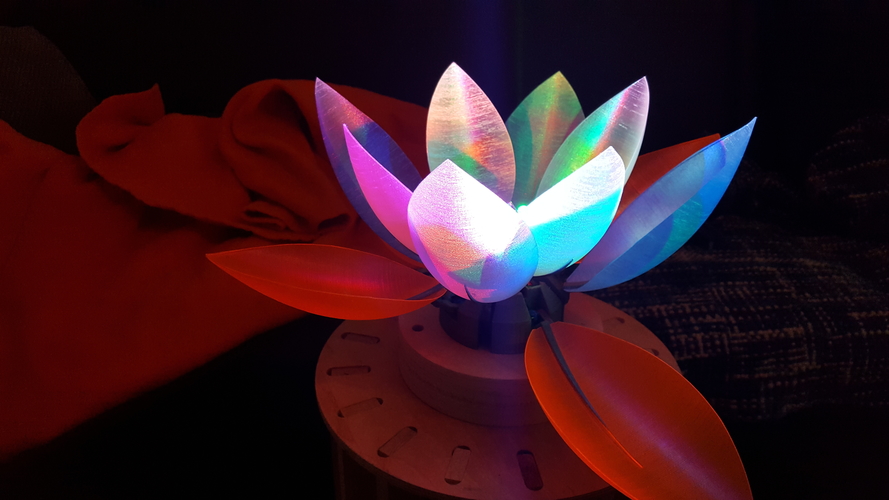 Servo Flower 3D Print 182024