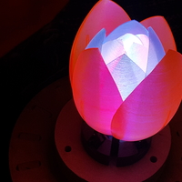 Servo Flower - Thumbnail 12
