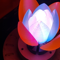 Servo Flower - Thumbnail 13