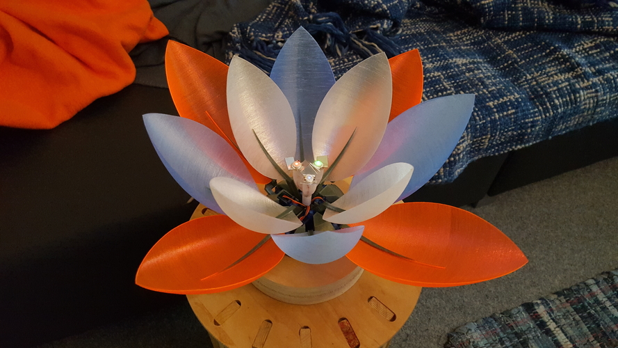 Servo Flower 3D Print 182044