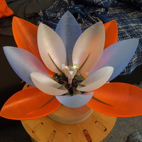 Servo Flower - Thumbnail 17