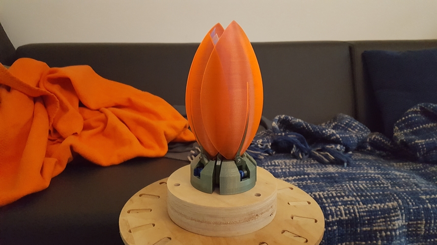Servo Flower 3D Print 182045