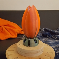Servo Flower - Thumbnail 18