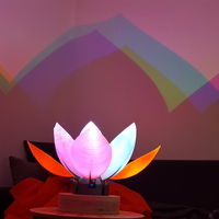 Servo Flower - Thumbnail 19