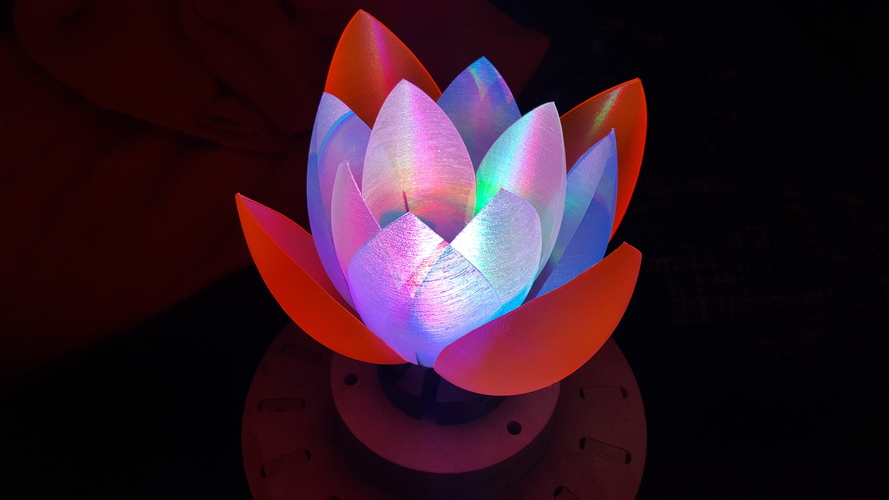 Servo Flower 3D Print 182047