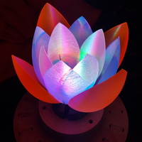 Servo Flower - Thumbnail 20