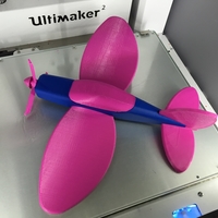 Toy airplane, different versions are planned - Thumbnail 8