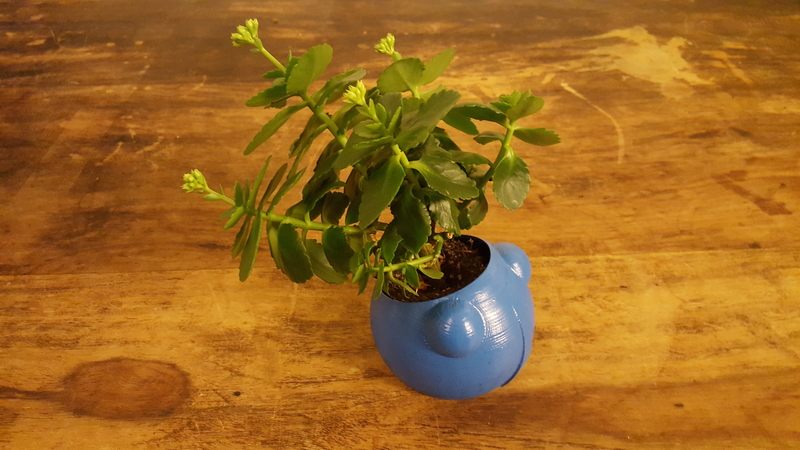 Pot Head