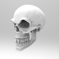 Evil Skull - Thumbnail 2
