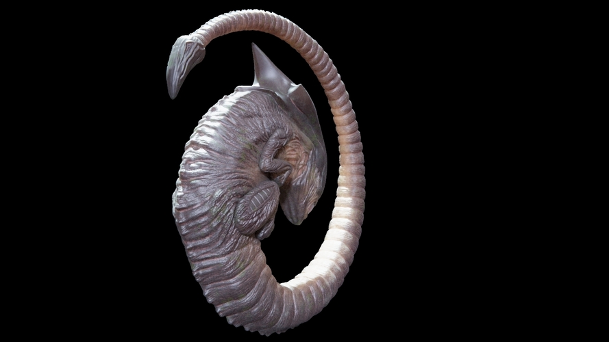 Alien Chestburster 3D Print 182205