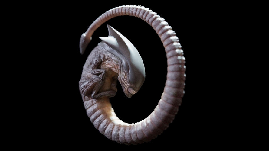 Alien Chestburster 3D Print 182207