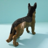 German Shepherd - Thumbnail 3