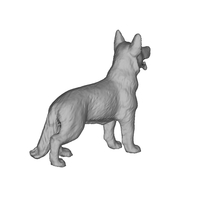 German Shepherd - Thumbnail 5