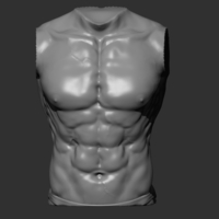 Man torso - Thumbnail 2