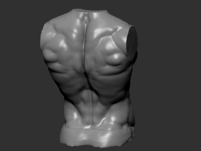 Man torso 3D Print 182705