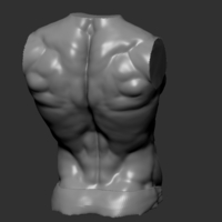 Man torso - Thumbnail 3