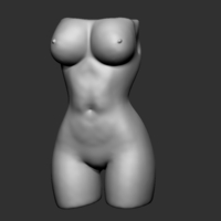 Woman Torso - Thumbnail 1