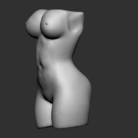 Woman Torso - Thumbnail 2