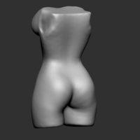 Woman Torso - Thumbnail 3