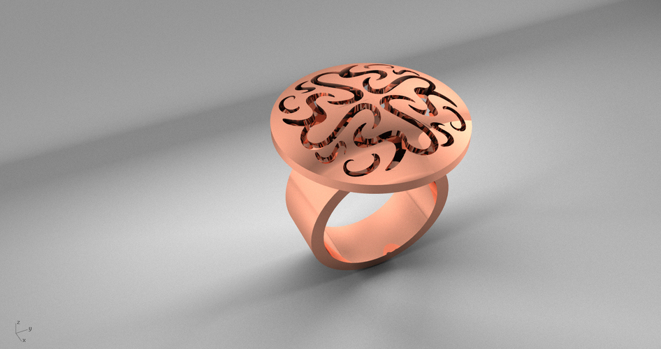 Ring Ornaments 3D Print 18280