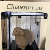 Small Wooly && Lazy Sheep 3D Printing 183051
