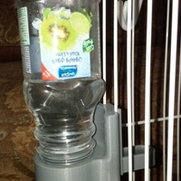 Watering birds - Thumbnail 1