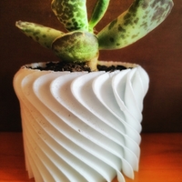 trio of small pots for succulents - Thumbnail 3
