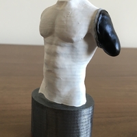 Transhumeral (above-elbow) limb loss/difference model for prosth - Thumbnail 4