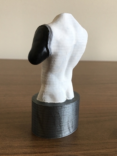 Transhumeral (above-elbow) limb loss/difference model for prosth 3D Print 184380
