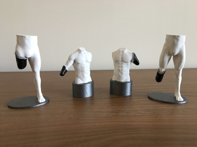 Transhumeral (above-elbow) limb loss/difference model for prosth 3D Print 184382