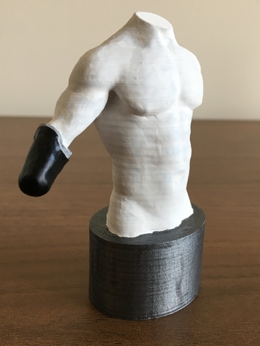 Transradial (below-elbow) limb loss/difference model for prosthe 3D Print 184385