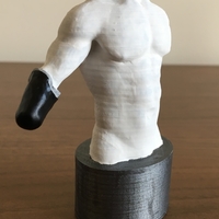 Transradial (below-elbow) limb loss/difference model for prosthe - Thumbnail 3