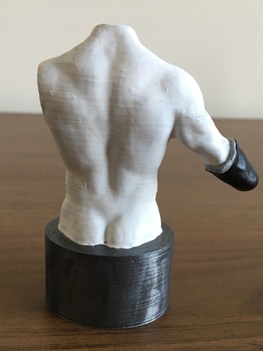 Transradial (below-elbow) limb loss/difference model for prosthe 3D Print 184386