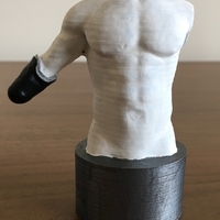 Transradial (below-elbow) limb loss/difference model for prosthe - Thumbnail 5