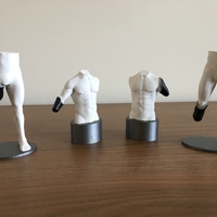 Transradial (below-elbow) limb loss/difference model for prosthe - Thumbnail 6